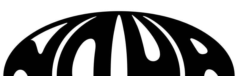 logotipo noha preto